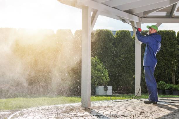 Animal Enclosure Cleaning in Columbus, MS